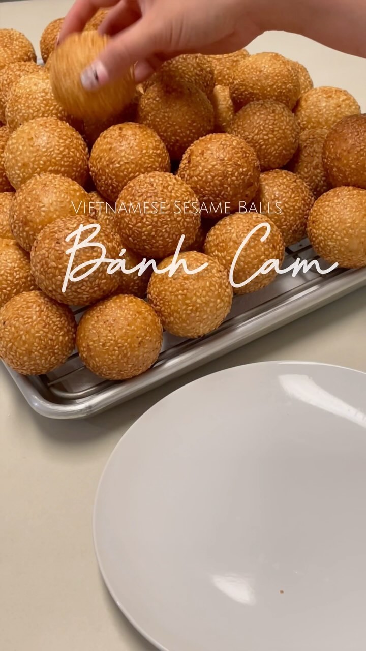 Bánh Cam (Vietnamese Sesame Balls with Mung Beans)