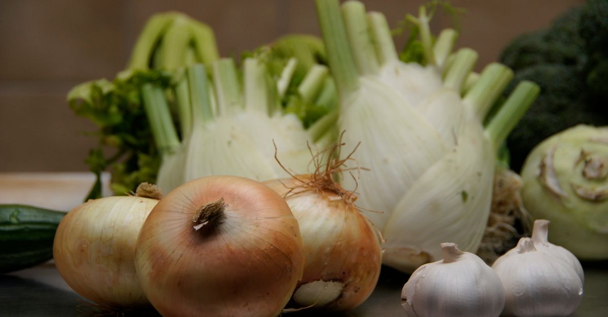 Braised Fennel and Cannellini Bean Stew with Gremolata