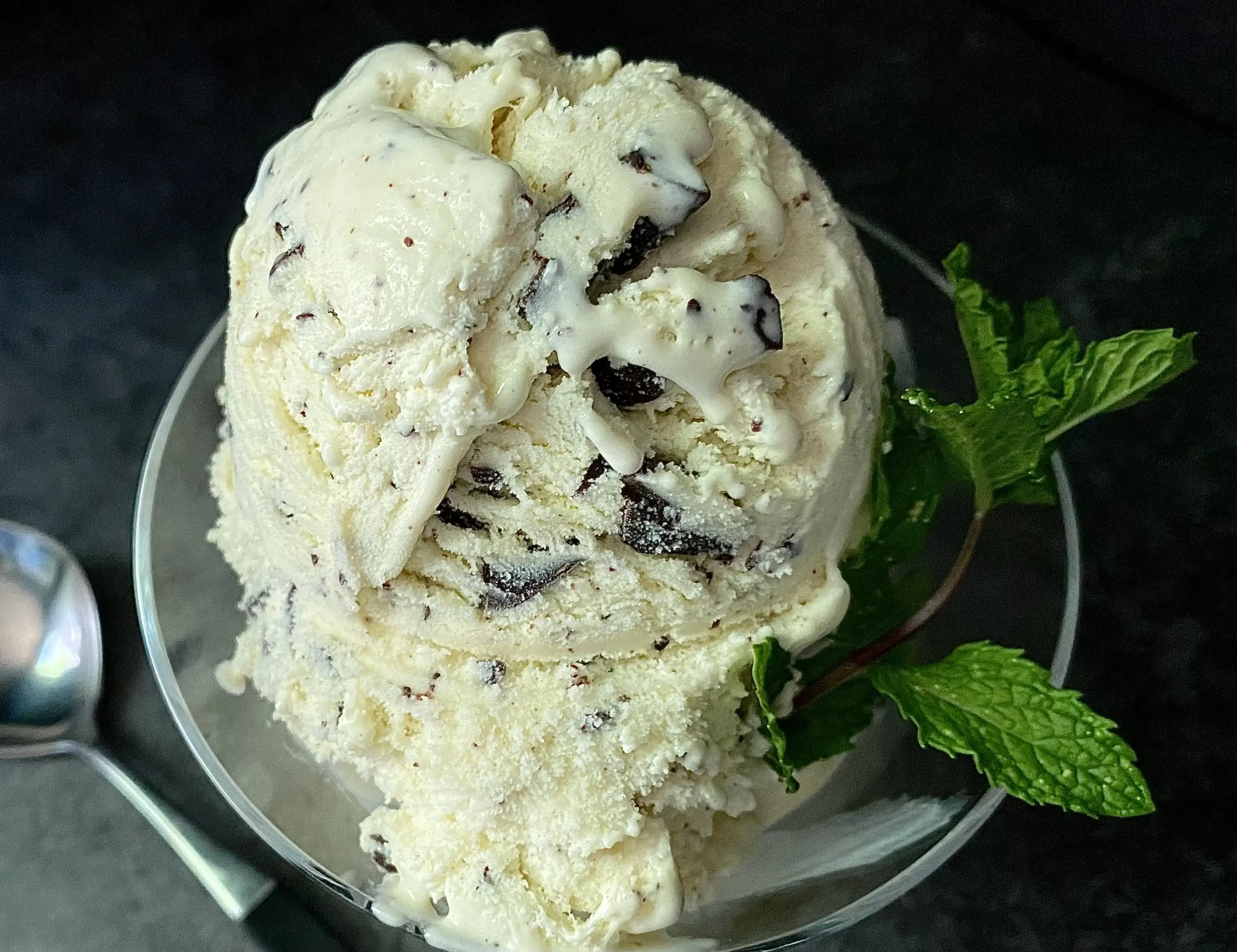 Mint Chip Ice Cream