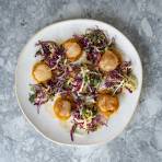 Pan-seared scallops with butternut squash purée and pomegranate-quince slaw