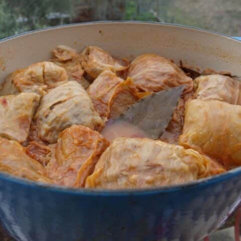 Croatian Sarma (Stuffed Cabbage Rolls)
