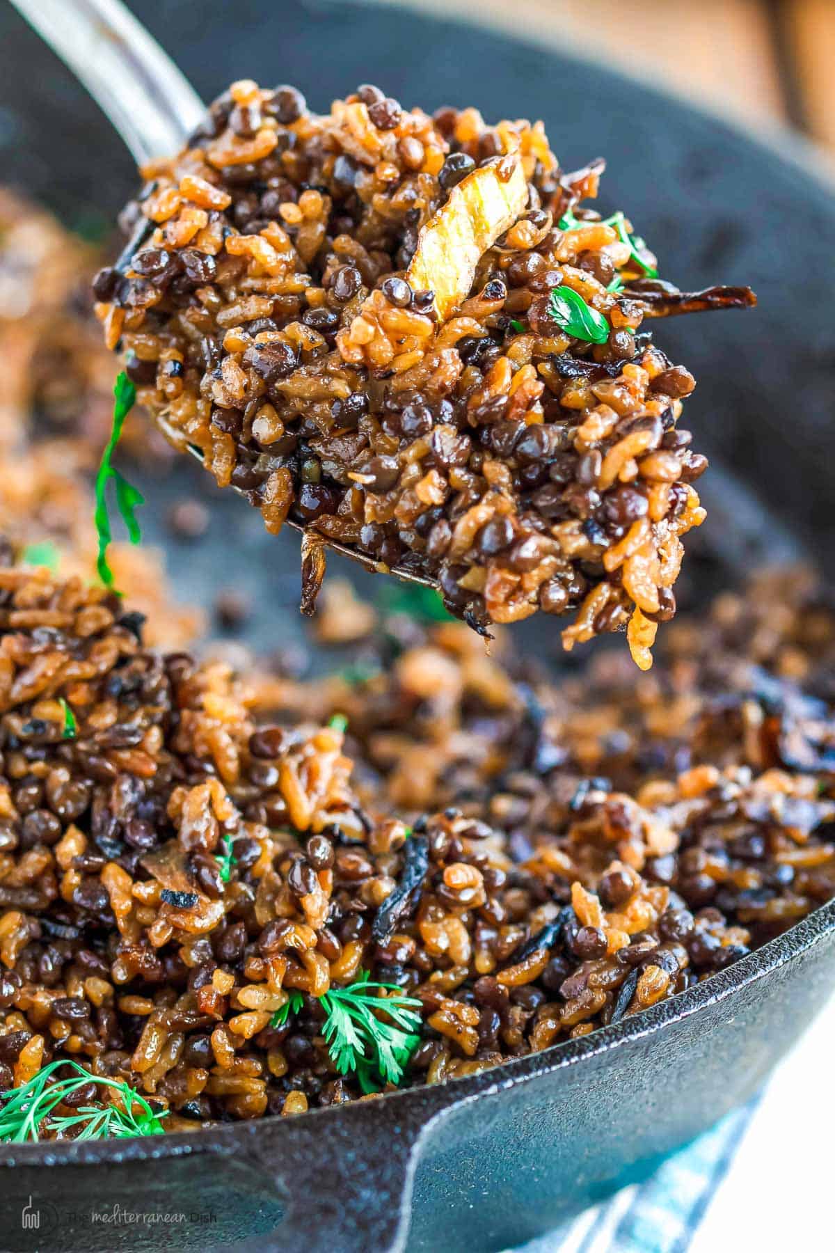 Mujadara: Lentils and Rice with Crispy Onions