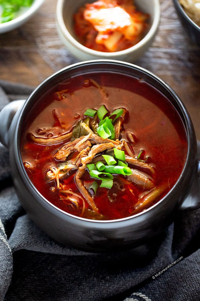 Yukgaejang (Korean Spicy Beef Soup)
