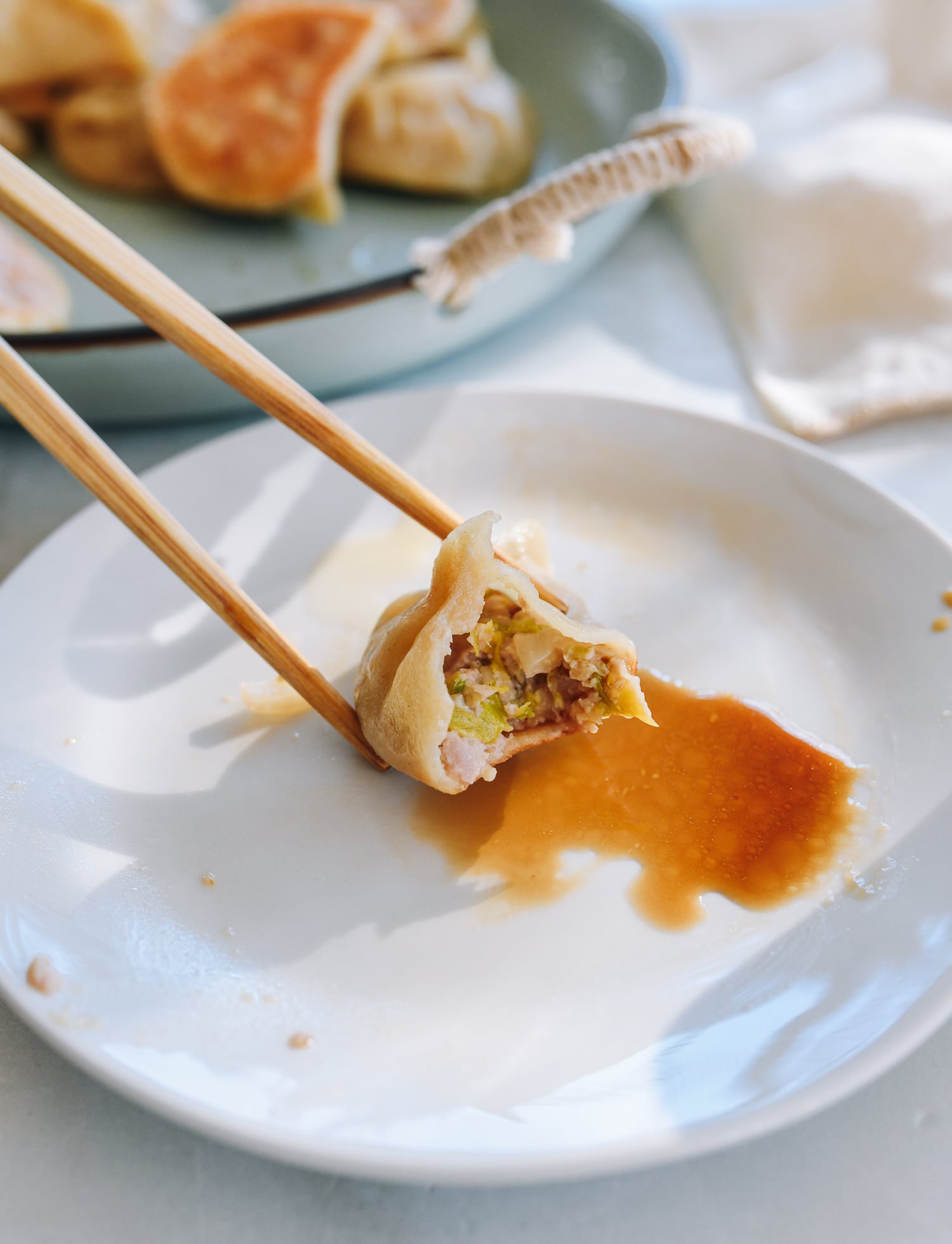 Chinese Chicken Dumplings
